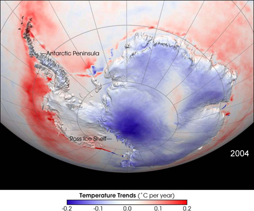 Antarctica, The Effects Of Global Warming